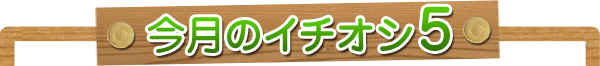 今月のイチオシ5